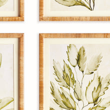 Load image into Gallery viewer, COASTAL GREENERY PRINTS, SET OF 4

