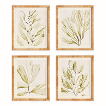 Load image into Gallery viewer, COASTAL GREENERY PRINTS, SET OF 4
