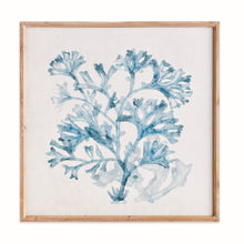 Load image into Gallery viewer, TRANSLUCENT CORAL PRINT
