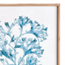 Load image into Gallery viewer, TRANSLUCENT CORAL PRINT
