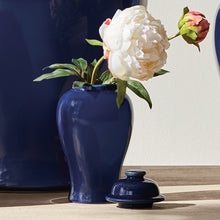 Load image into Gallery viewer, KOA LIDDED MINI GINGER JAR SMALL
