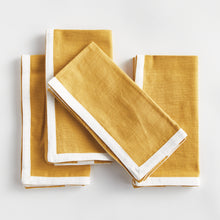 Load image into Gallery viewer, JASE DINNER NAPKINS, SET OF 4
