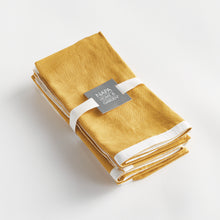Load image into Gallery viewer, JASE DINNER NAPKINS, SET OF 4
