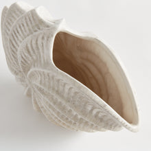 Load image into Gallery viewer, NAUTILUS SHELL VASE
