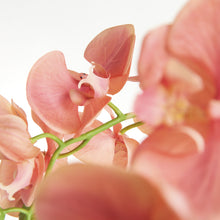 Load image into Gallery viewer, PHALAENOPSIS ORCHID DROP-IN 30"
