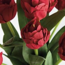 Load image into Gallery viewer, PEONY TULIP BUNDLE DROP-IN 18"
