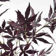 Load image into Gallery viewer, MAPLE LEAF BRANCHES 41" ST/2
