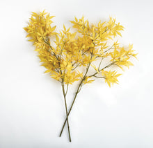 Load image into Gallery viewer, MAPLE LEAF BRANCHES 41" ST/2
