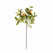 Load image into Gallery viewer, FAUX ORANGE STEMS 31", SET OF 4
