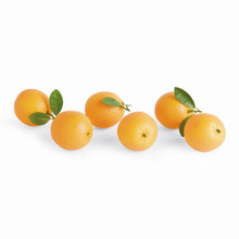 Load image into Gallery viewer, FAUX ORANGES 5" ASSORTED, SET OF 6
