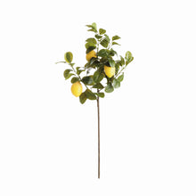 Load image into Gallery viewer, FAUX LEMON STEMS 31", SET OF 4
