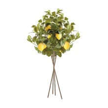 Load image into Gallery viewer, FAUX LEMON STEMS 31", SET OF 4
