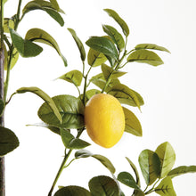 Load image into Gallery viewer, FAUX LEMON BRANCHES 43", SET OF 2
