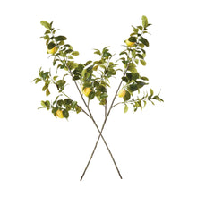 Load image into Gallery viewer, FAUX LEMON BRANCHES 43", SET OF 2
