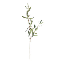 Load image into Gallery viewer, OLIVE STEMS WITH OLIVES 32", SET OF 4
