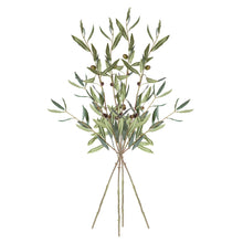 Load image into Gallery viewer, OLIVE STEMS WITH OLIVES 32", SET OF 4
