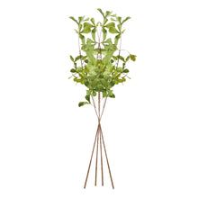 Load image into Gallery viewer, SHADY LADY BLACK OLIVE STEMS 28", SET OF 4
