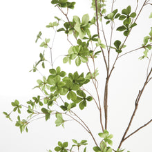 Load image into Gallery viewer, SHADY LADY BLACK OLIVE BRANCHES 56", SET OF 2
