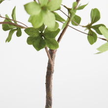 Load image into Gallery viewer, SHADY LADY BLACK OLIVE BRANCHES 56", SET OF 2

