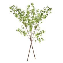 Load image into Gallery viewer, SHADY LADY BLACK OLIVE BRANCHES 56", SET OF 2
