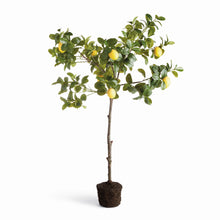 Load image into Gallery viewer, FAUX LEMON TREE DROP-IN 49"

