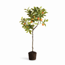 Load image into Gallery viewer, FAUX KUMQUAT TREE DROP-IN 33"
