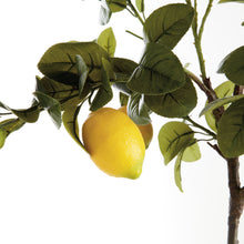 Load image into Gallery viewer, FAUX LEMON TREE DROP-IN 37"
