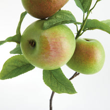 Load image into Gallery viewer, APPLE BRANCHES 20" ST/4
