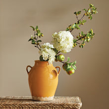 Load image into Gallery viewer, APPLE BRANCHES 20" ST/4
