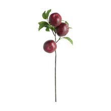 Load image into Gallery viewer, APPLE BRANCHES 20" ST/4
