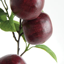 Load image into Gallery viewer, APPLE BRANCHES 20" ST/4
