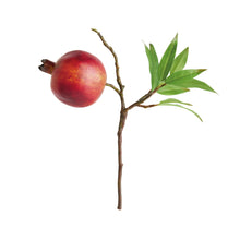 Load image into Gallery viewer, POMEGRANATE PICKS 10" ST/4
