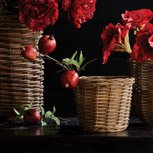 Load image into Gallery viewer, POMEGRANATE PICKS 10" ST/4
