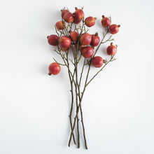 Load image into Gallery viewer, POMEGRANATE BRANCHES 36" ST/4
