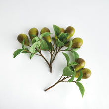 Load image into Gallery viewer, PEAR PICKS 9.5" ST/4
