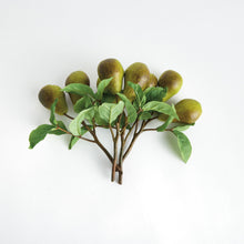 Load image into Gallery viewer, PEAR PICKS 9.5" ST/4
