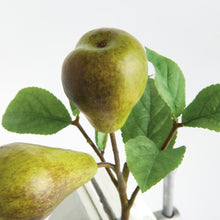 Load image into Gallery viewer, PEAR PICKS 9.5" ST/4
