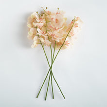 Load image into Gallery viewer, PHALAENOPSIS ORCHID STEMS 28" ST/4
