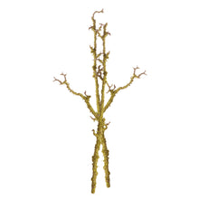 Load image into Gallery viewer, LICHEN BRANCHES 28", SET OF 2
