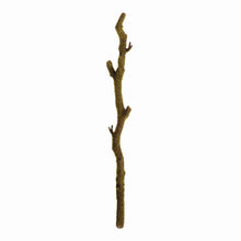 Load image into Gallery viewer, MOSS BRANCHES 24", SET OF 2
