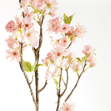Load image into Gallery viewer, DOUBLE CHERRY BLOSSOM BRANCHES 46", SET OF 2
