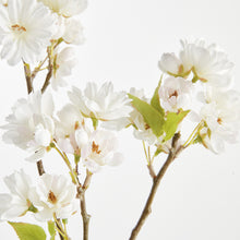 Load image into Gallery viewer, DOUBLE CHERRY BLOSSOM STEMS 28", SET OF 6
