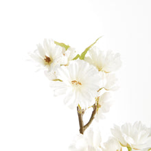 Load image into Gallery viewer, DOUBLE CHERRY BLOSSOM STEMS 28", SET OF 6
