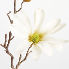 Load image into Gallery viewer, STAR MAGNOLIA STEMS 18", SET OF 6
