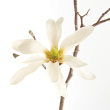 Load image into Gallery viewer, STAR MAGNOLIA BRANCHES 32", SET OF 6
