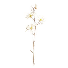 Load image into Gallery viewer, STAR MAGNOLIA BRANCHES 32", SET OF 6
