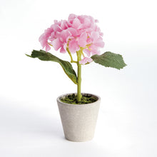 Load image into Gallery viewer, MINI HYDRANGEA POTTED 8", SET OF 4
