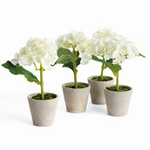Load image into Gallery viewer, MINI HYDRANGEA POTTED 8", SET OF 4
