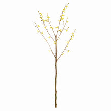 Load image into Gallery viewer, FORSYTHIA STEMS 47", SET OF 6
