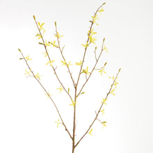 Load image into Gallery viewer, FORSYTHIA STEMS 47", SET OF 6
